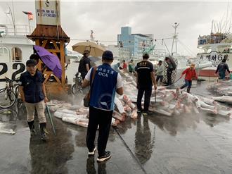 「漁勝發」遠洋漁船電獵海豚切塊當鯊魚誘餌   船長40萬交保