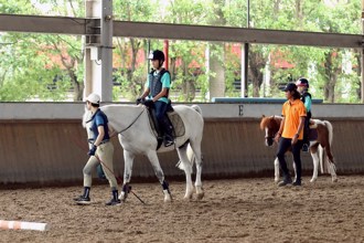 馬術》漢諾威夏令營邁入第26年 培養小騎士責任感與自信
