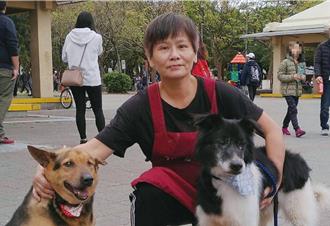 23年如一日守護毛寶貝 中和動物之家志工黃新用愛打造幸福中繼站
