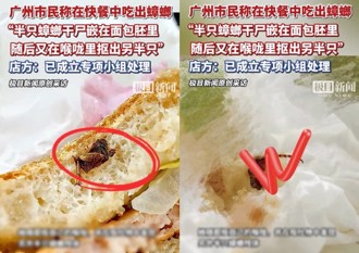 速食店漢堡咬下驚見半隻蟑螂　女子催吐出另一半
