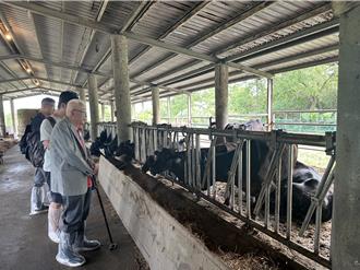 李登輝遺願未了 劉泰英力拚千頭台灣和牛夢