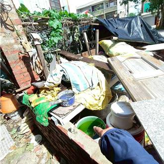 颱风后台南增2境外移入登革热病例 交叉感染死亡率恐达5成