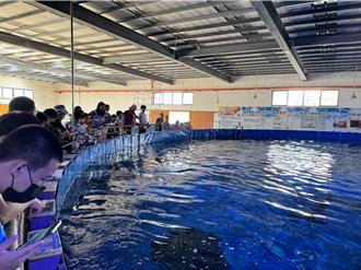 誇張男伸手拉鯊魚背鰭惹眾怒 業者氣炸：不配進來看魚