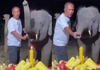 象寶寶過生日忘記有鼻子！ 學人用嘴吹蠟燭超萌