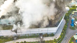 台泥股價破底 經部擬派專家協助