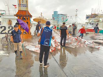 台漁船獵殺海豚 丟臉丟到國外