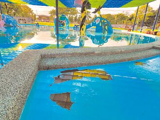 整塊掉下來 花蓮幼幼池真落漆