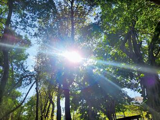夏日炎炎頭暈沒精神 當心熱傷害