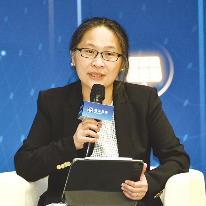 中华开发资本总经理南怡君。图／本报资料照片