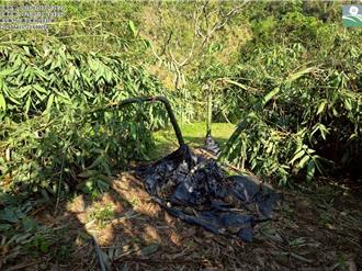 竹筍納入農損救助！南投縣府公告：5項作物可申請補助