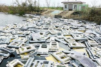 光電板非有害？藍委打臉經濟部：「這成份」高毒性致癌