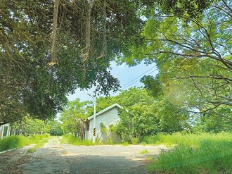 美人山营区开发 市府规画综合球场