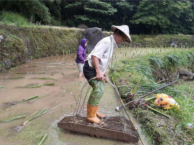 透过生态薪水鼓励农民从事友善农耕、栖地管理及生态纪录。（图／新北市农业局）