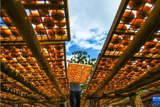 恭城盲目建設文旅項目閒置浪費被通報  引以為鑒深刻檢視