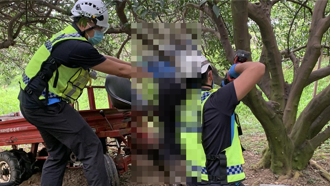 苗栗7旬老農夾困果樹與搬運車 消防鋸斷樹木搶救仍不治