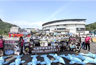 遭控違法繁殖海豚 野柳海洋世界澄清：園方朝教育轉型