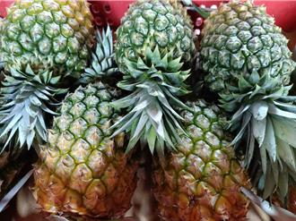 台灣鳳梨銷美時程  農業部：仍待美方公告