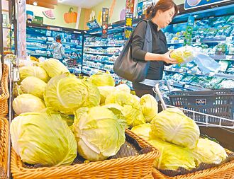 菜價漲7.2元 北農今陸續釋出50噸平價蔬菜