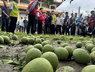 批賴勘災「連場面話都省了」 沈政男喊：台南人應省思