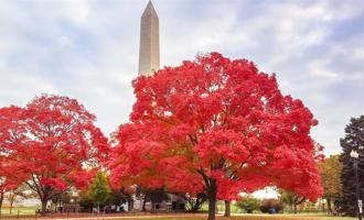 台北夏季旅展「楓」狂促銷！鳳凰旅遊秋冬早鳥優惠最高每人減1萬元