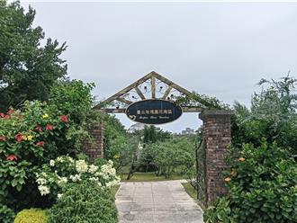 粉紅扶桑＋雞蛋花！台北新生公園也有南國風情