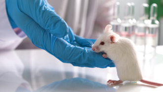 蘇一峰轟「抽血換學分」1細節 怒批比白老鼠還不如