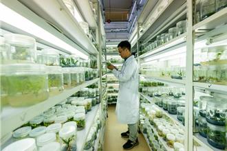 陸野生生物種質資源保護成效顯著