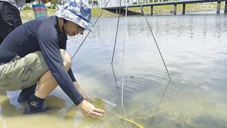 南山人壽 守護海草生態系