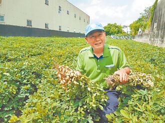 生化肥需求旺 全宇樂看H2