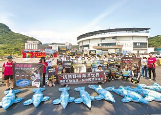 野柳海洋世界 违法繁殖海豚
