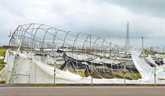 嘉縣 溫室遭毀 小番茄年底恐漲1-2成