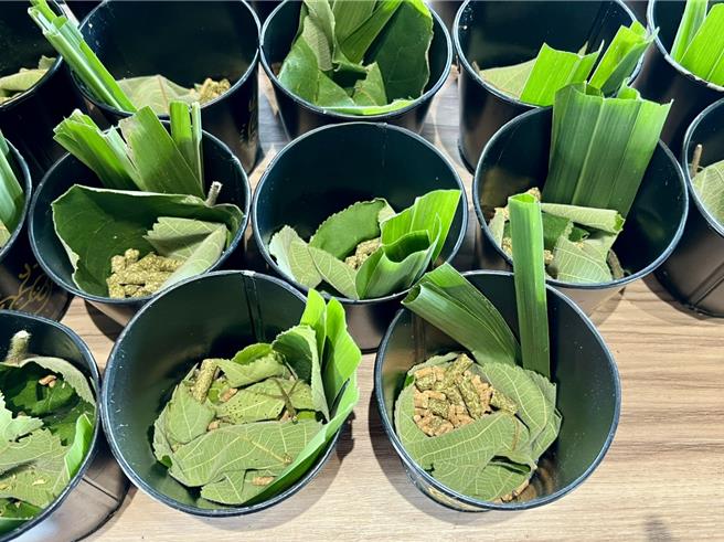 鹿芝谷只要入园，就提供梅花鹿、水豚君等小动物的食草及饲料。（杨静茹摄）