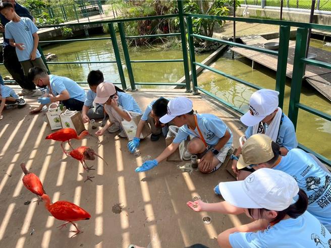 九九峰动物乐园举行「小小饲育员体验营」，亲手喂食红鹤等可爱动物。（业者提供／杨静茹南投传真）