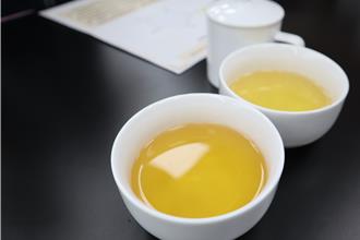 竹縣峨眉東方美人茶王出爐！氣候影響著涎 淘汰率達35％