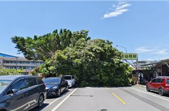 南投敦和小學老榕樹壓死女騎士  校方判賠288萬不上訴