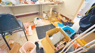 雲林 房東不續租 水淹房間餓死兔子