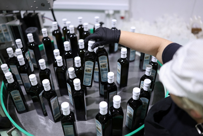 希臘南部伯羅奔尼梭半島西部瓦伐賽納村（Varvasaina）的橄欖油產製業者員工，18日準備把橄欖油裝箱。（路透）