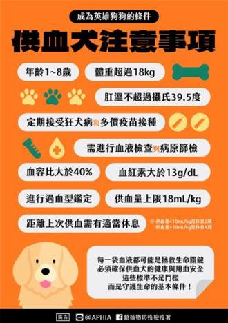 供血犬貓有標準！ 苗栗縣： 年齡體重、疫苗都要符合