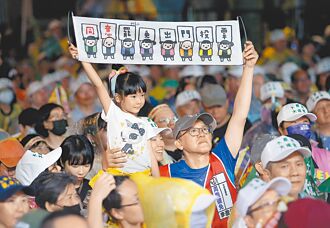 護國遶境終站 罷團喊民主修復