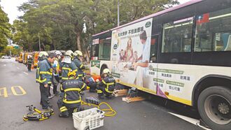 公車未禮讓 名醫命喪斑馬線