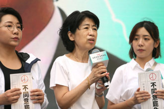 陳佩琪「表態反罷」將替柯申請投票權   精神醫舉往例斷言結果