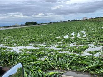 丹娜絲颱風重創南台灣 賑災基金會重建募款預募5億