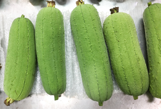 絲瓜買錯變「菜瓜布」 農糧署曝挑選秘訣 1招保鮮8周