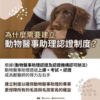獸醫助理證照化！苗栗動保所力推 高中學歷就能考