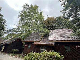 大雪山小木屋煥新！避暑勝地升級回歸 即日起開放住宿