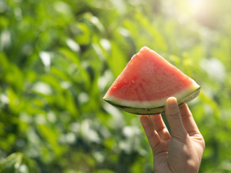 「大暑」來了！4生肖健康運偏弱 三瓜三湯最補