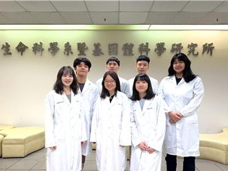 破解肝臟自癒密碼！陽明交大與哈佛聯手發現關鍵基因