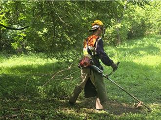 高雄輕度智能障礙青年求職碰壁 拿起園藝機具闖出新天地