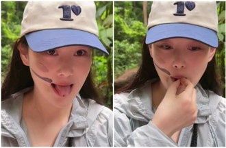 「最美軍嫂」雲南生吃螞蟻吐真實口感！ 還徒手抓毛毛蟲網嚇翻