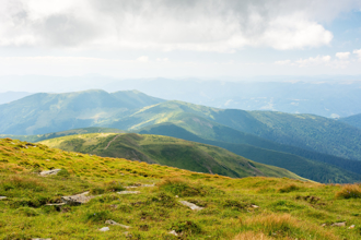 烏克蘭被炸毀水庫奇蹟長出森林 專家憂恐成「定時毒炸彈」
